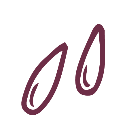 Ajonjolí